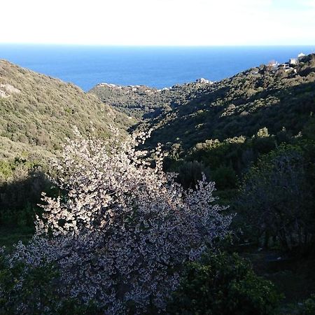 شقة A Tana Di A Volpe Ville-di-Pietrabugno المظهر الخارجي الصورة
