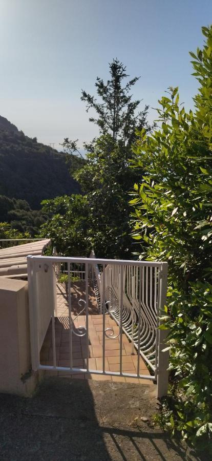 شقة A Tana Di A Volpe Ville-di-Pietrabugno المظهر الخارجي الصورة